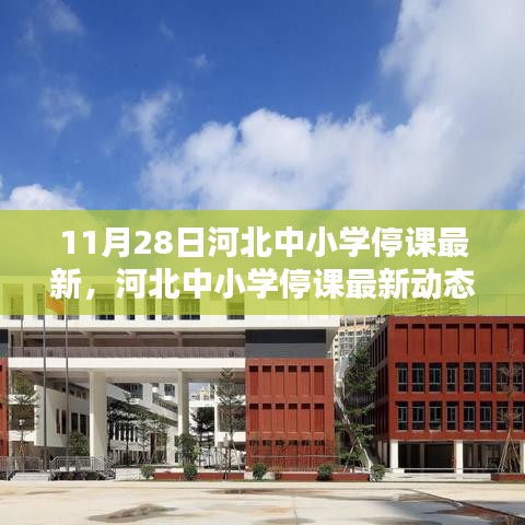 河北中小學(xué)停課最新動(dòng)態(tài)，11月28日的深刻印記