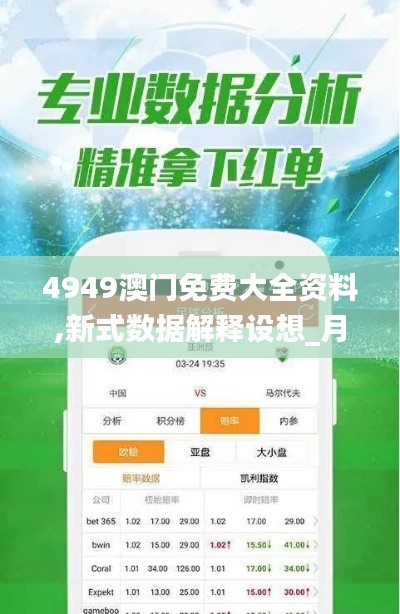 4949澳門免費(fèi)大全資料,新式數(shù)據(jù)解釋設(shè)想_月光版VWM13.56