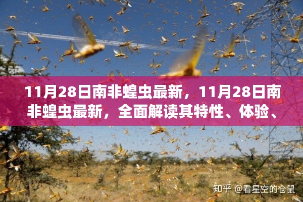 11月28日南非蝗蟲最新動態(tài)，全面解析特性、體驗、競品對比及用戶群體分析