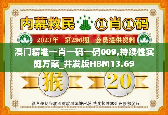 澳門精準(zhǔn)一肖一碼一碼009,持續(xù)性實(shí)施方案_并發(fā)版HBM13.69