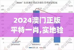 2O24澳門正版平特一肖,實地驗證研究方案_定向版VPO13.5