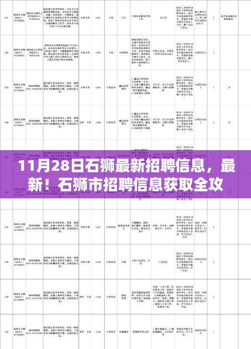 石獅市最新招聘信息全攻略，初學者與進階用戶適用的獲取渠道（11月28日更新）