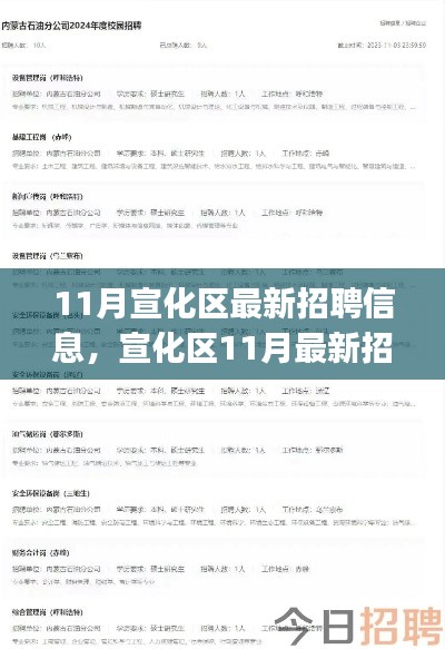 宣化區(qū)11月最新招聘信息全攻略，初學(xué)者到進(jìn)階用戶的獲取指南