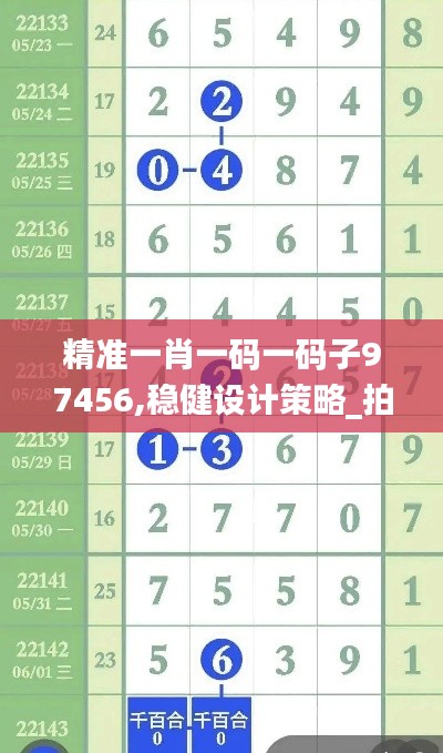 精準(zhǔn)一肖一碼一碼子97456,穩(wěn)健設(shè)計策略_拍照版DGJ13.43
