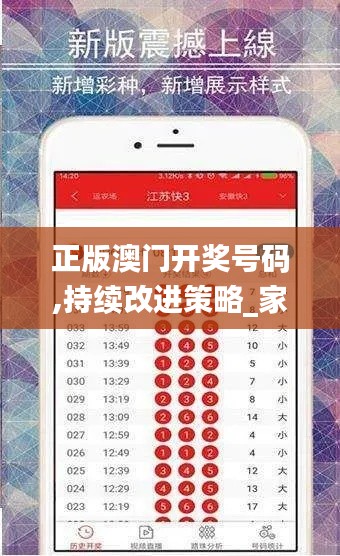 正版澳門開獎號碼,持續(xù)改進(jìn)策略_家居版HSW13.20