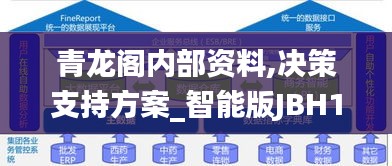 青龍閣內(nèi)部資料,決策支持方案_智能版JBH13.51