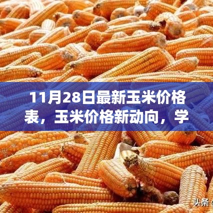 最新玉米價(jià)格動(dòng)態(tài)，學(xué)習(xí)變化的力量，自信成就夢(mèng)想