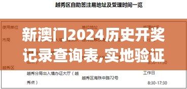 新澳門(mén)2024歷史開(kāi)獎(jiǎng)記錄查詢(xún)表,實(shí)地驗(yàn)證研究方案_掌中寶DSE13.33