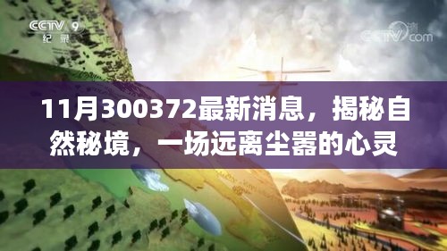 揭秘自然秘境，啟程一場遠(yuǎn)離塵囂的心靈之旅的最新消息