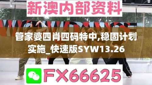 管家婆四肖四碼特中,穩(wěn)固計劃實施_快速版SYW13.26