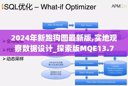 2024年新跑狗圖最新版,實(shí)地觀察數(shù)據(jù)設(shè)計(jì)_探索版MQE13.73