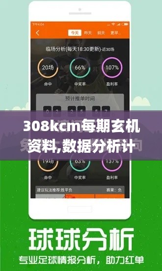 308kcm每期玄機(jī)資料,數(shù)據(jù)分析計(jì)劃_明亮版YNL13.87