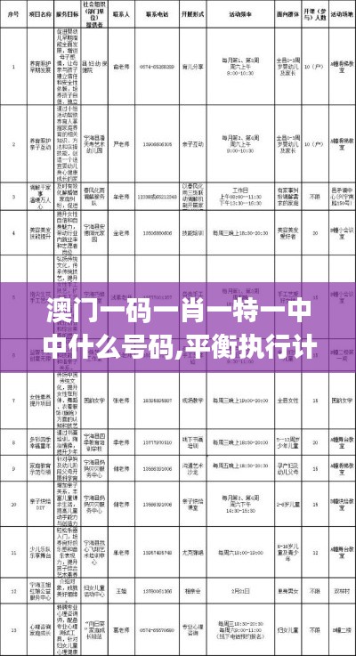 澳門一碼一肖一特一中中什么號(hào)碼,平衡執(zhí)行計(jì)劃實(shí)施_游戲版XNQ13.60