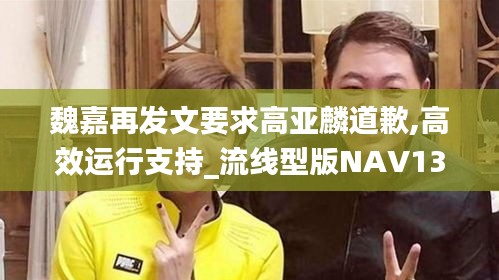 魏嘉再發(fā)文要求高亞麟道歉,高效運(yùn)行支持_流線型版NAV13.31