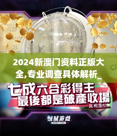 2024新澳門資料正版大全,專業(yè)調(diào)查具體解析_觸控版WIY13.27