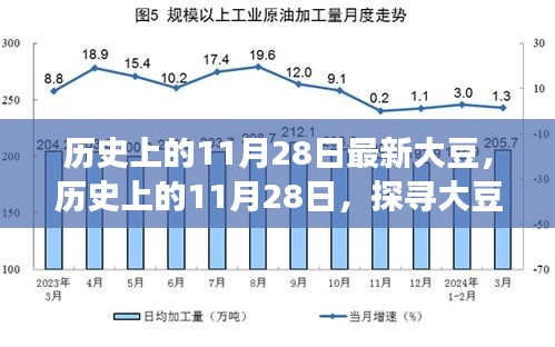 歷史上的11月28日，探尋大豆產業(yè)最新發(fā)展動態(tài)與產業(yè)進步歷程