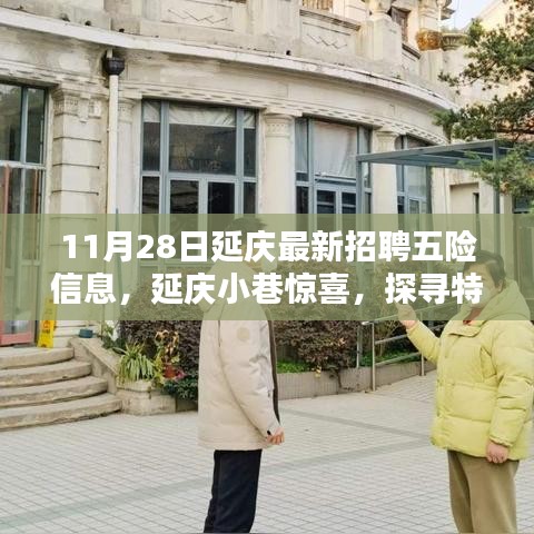 11月28日延慶最新招聘信息與特色小店探尋，五險(xiǎn)信息大解密