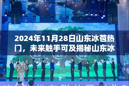 揭秘山東冰苞熱門高科技產(chǎn)品，科技之光照亮生活新篇章（2024年展望）