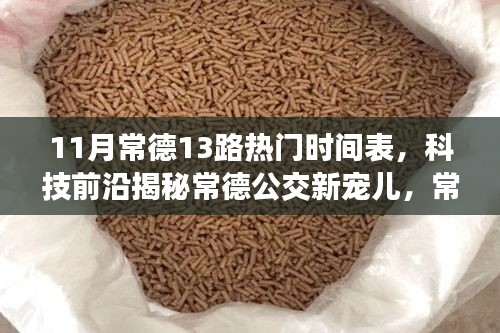 常德公交新寵兒揭秘，智能出行時代下的常德公交13路時刻表與智慧出行體驗