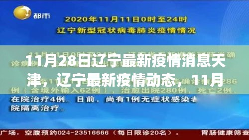 遼寧與天津抗疫進(jìn)展更新，11月28日最新疫情消息與動(dòng)態(tài)