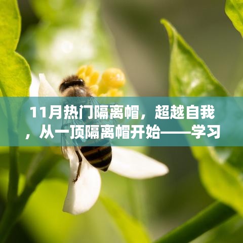 超越自我，從隔離帽開始的學(xué)習(xí)之旅，自信與成就感的蛻變之路