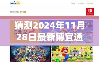 博宜通的奇妙時(shí)光，2024年11月28日的溫馨日常