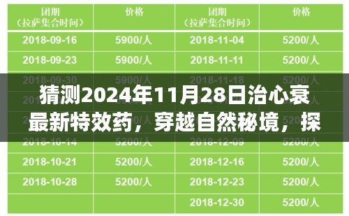 探尋未來奇跡，穿越自然秘境，揭秘心衰特效藥的心靈之旅（預(yù)計于2024年11月揭曉）
