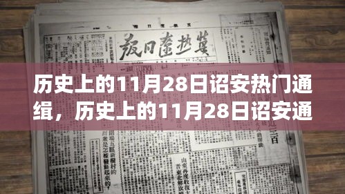 歷史上的11月28日詔安通緝事件深度解讀，事件背后的大揭秘