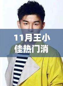 王小佳十一月熱門(mén)消息揭秘，多維解讀背后的故事