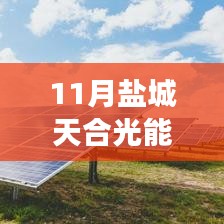 鹽城天合光能熱門招聘應(yīng)聘全攻略，從入門到成功應(yīng)聘的每一步解析