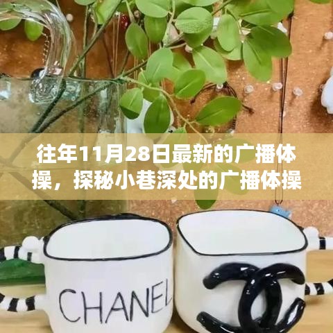 探秘小巷深處的廣播體操寶藏小店，最新廣播體操一覽