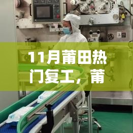 莆田11月復(fù)工潮，探尋復(fù)蘇之路的嶄新篇章