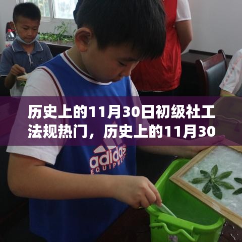 歷史上的11月30日，初級(jí)社工法規(guī)的熱門(mén)演變及其深遠(yuǎn)影響