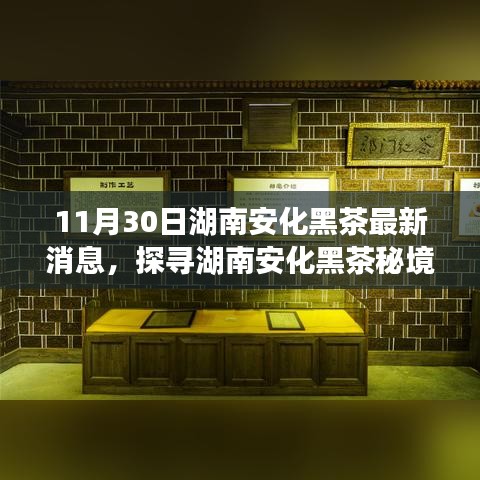 探尋湖南安化黑茶秘境，最新消息與小巷中的獨特茶香