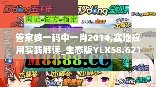 管家婆一碼中一肖2014,實(shí)地應(yīng)用實(shí)踐解讀_生態(tài)版YLX58.621