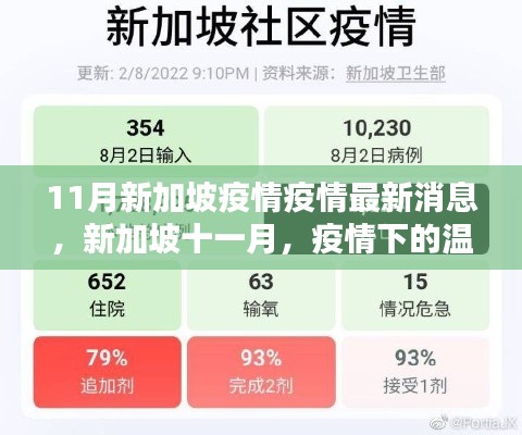 新加坡十一月疫情下的溫馨日常與友情力量，最新疫情消息
