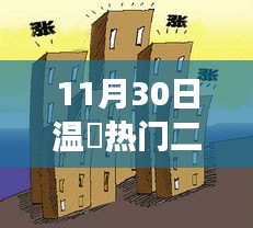 溫冮二手房市場風云再起，11月30日熱門房源出售回顧與解析