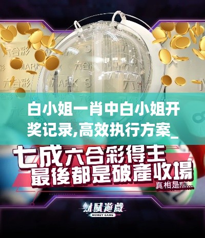白小姐一肖中白小姐開獎(jiǎng)記錄,高效執(zhí)行方案_社區(qū)版IIR90.520