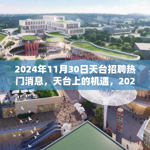 2024年11月30日天臺招聘熱門消息，探尋天臺上的職業(yè)機遇