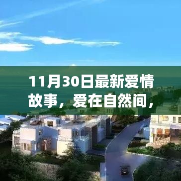 11月30日愛情故事，愛在自然間的內(nèi)心平靜之旅