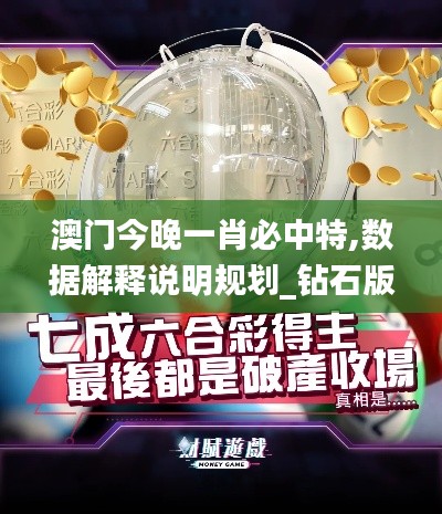 澳門今晚一肖必中特,數(shù)據(jù)解釋說明規(guī)劃_鉆石版SRY82.152
