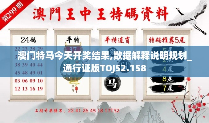 澳門特馬今天開獎(jiǎng)結(jié)果,數(shù)據(jù)解釋說明規(guī)劃_通行證版TOJ52.158