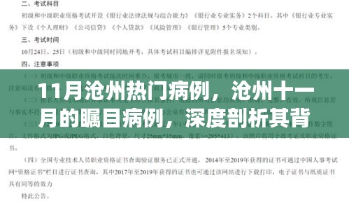 滄州十一月矚目病例深度解析，背景、進(jìn)展與影響探究