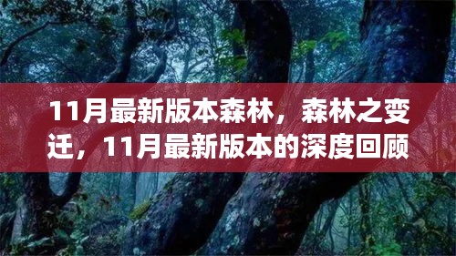 11月最新版本森林的變遷，深度回顧與影響