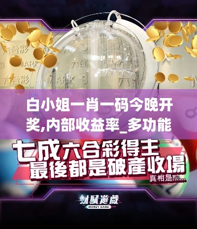 白小姐一肖一碼今晚開獎,內(nèi)部收益率_多功能版DPD7.754