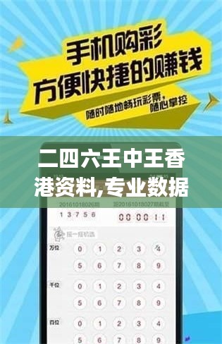 二四六王中王香港資料,專業(yè)數(shù)據(jù)點明方法_DIY版CIY58.167