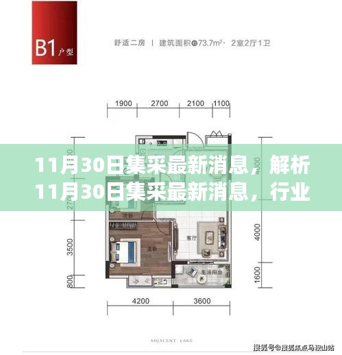解析，從行業(yè)變革與個人立場看，11月30日集采的最新消息動態(tài)