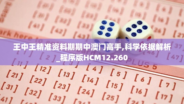 王中王精準資料期期中澳門高手,科學依據(jù)解析_程序版HCM12.260