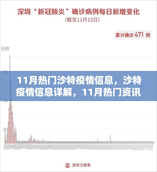 沙特疫情11月詳解，從入門到進階的全方位指南