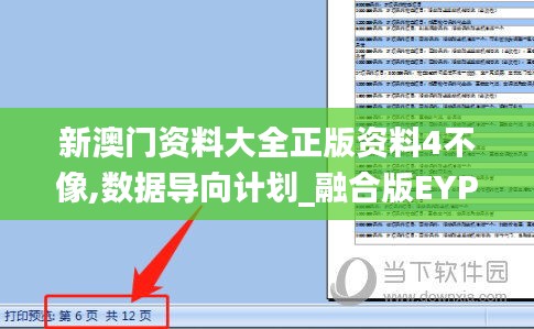 新澳門資料大全正版資料4不像,數據導向計劃_融合版EYP13.687